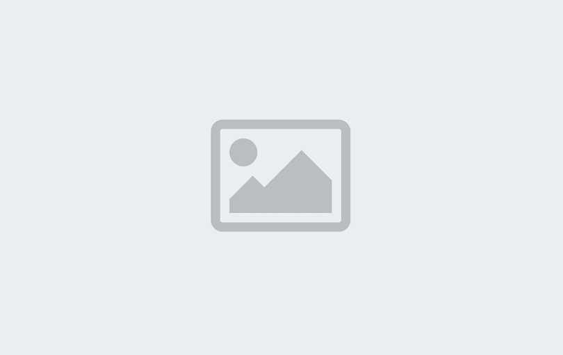 Brownsville Preparatory Institute, The