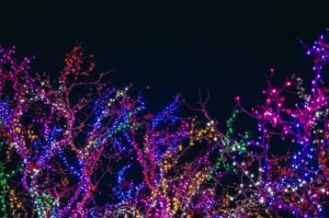 Where to See the Best Christmas Lights in Tallahassee