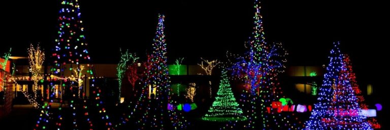 christmas lights tallahassee