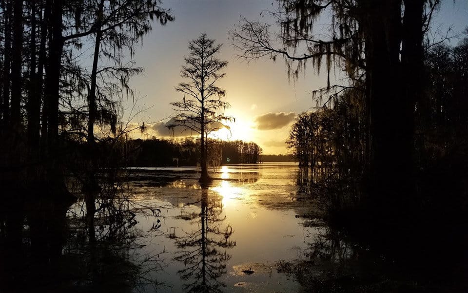 GIL WATERS PRESERVE AT LAKE MUNSON - Tallahassee Times