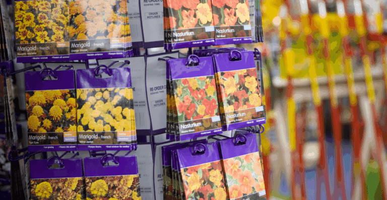 Free Fall Seeds at Local Libraries - Grab Yours!