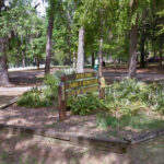 meyers park
