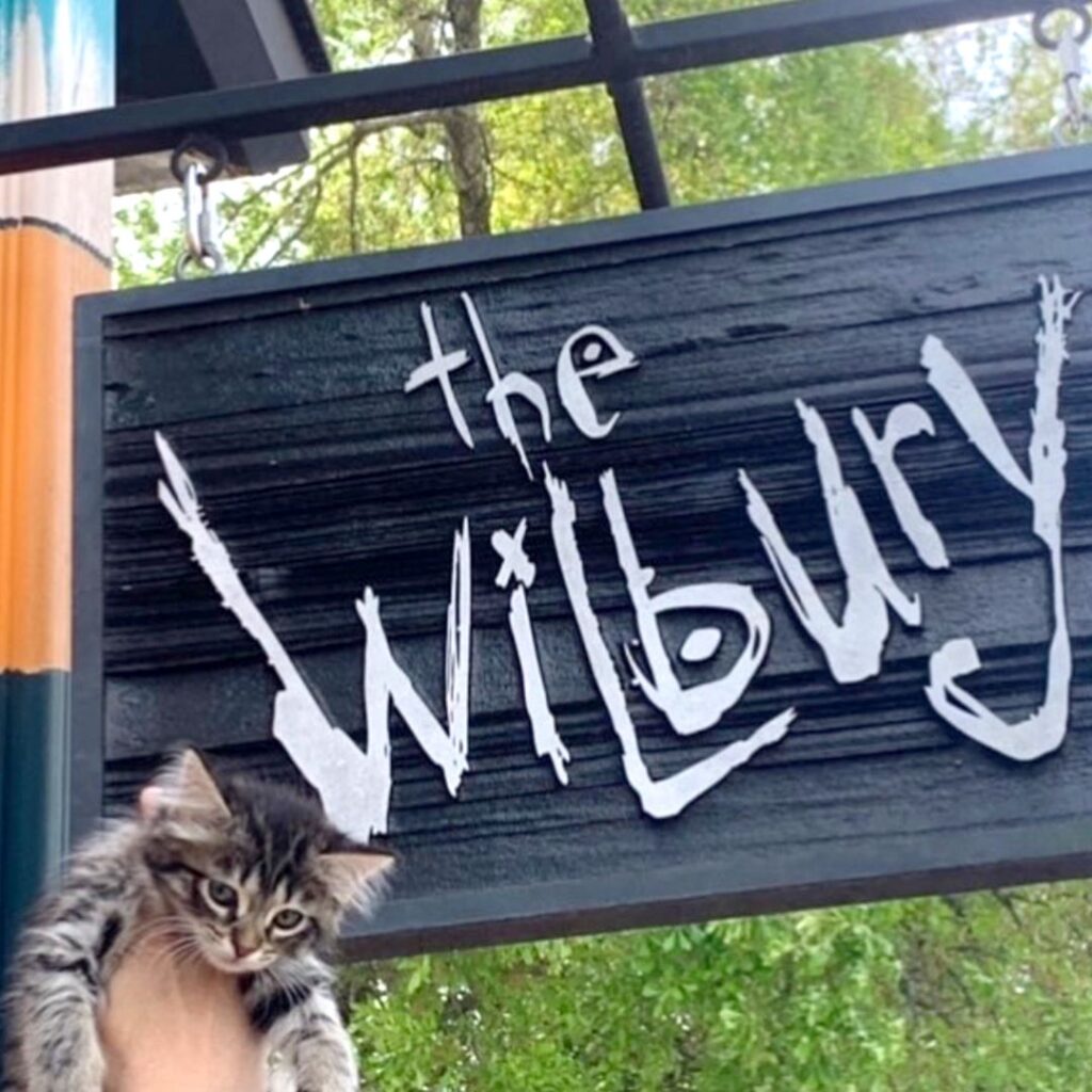 the wilbury