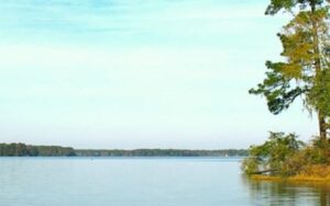 Bear Creek Educational Forest at Lake Talquin State Forest