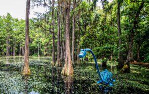 tallahasseemuseum