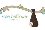 Bellflower Photography