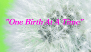 Birth Rite Doula Services, LLC