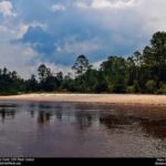 Blackwater River State Park