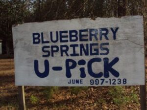 Blueberry Springs Farm