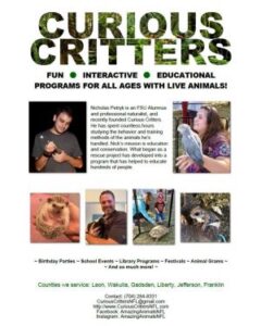 Curious Critters