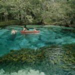Cypress Springs