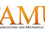 FAMU Essential Theater Morning Matinee Series