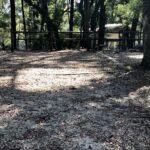 hall landing