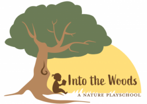 Into the Woods Playschool