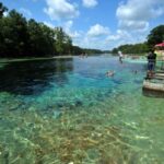 Jackson Blue Springs