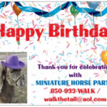 Miniature Horse Party