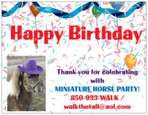 Miniature Horse Party