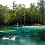 Morrison Springs