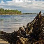 Ochlockonee River State Park