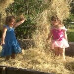 Tally Hay Rides