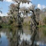 Wakulla River