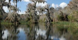 Wakulla River