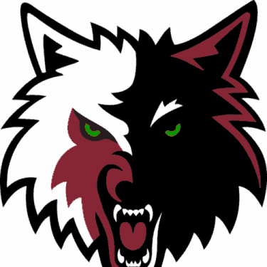 Wolfpack Lacrosse Club - Tallahassee Times