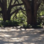 big oak rv park