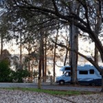 coe landing