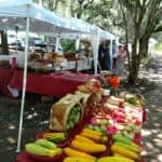 lake ella growers market