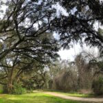 miccosukee greenway