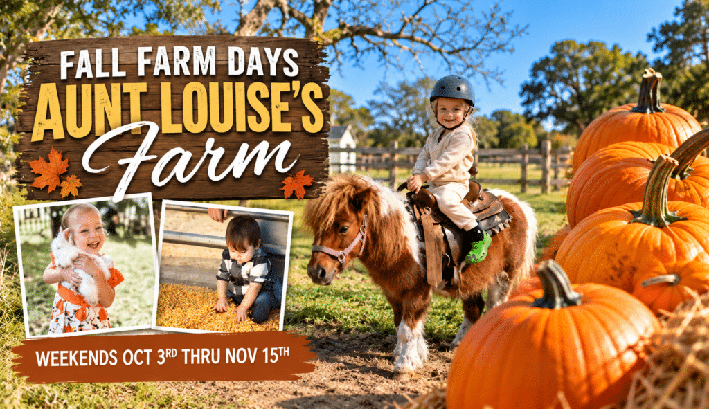 Aunt Louises Fall Farm Days