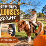 Aunt Louises Fall Farm Days