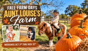 Aunt Louises Fall Farm Days