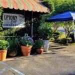 uptown cafe