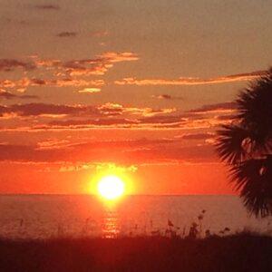 Port St. Joe