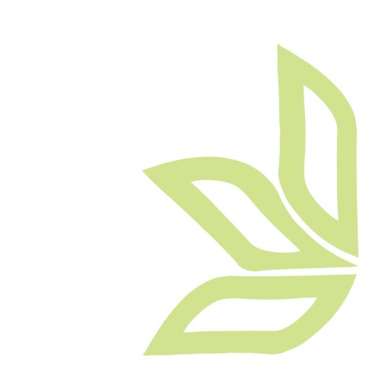 christ presbyterian church