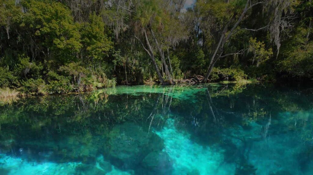 rainbow springs state park