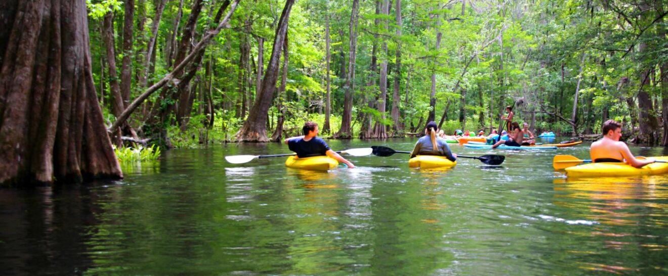 Florida Springs Camping Options Tallahassee Times