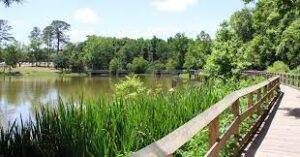 tom brown park walkway