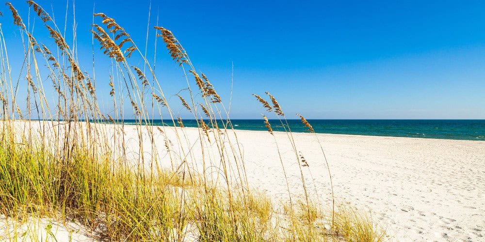 north florida weather