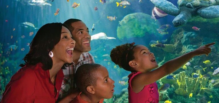 seaworld teachers