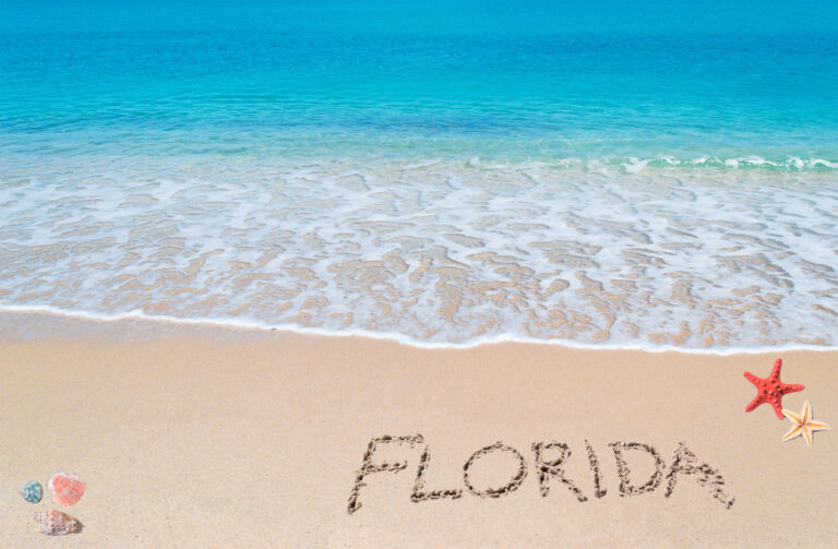 florida writing
