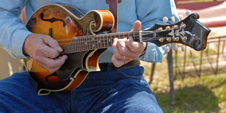 florida bluegrass festival