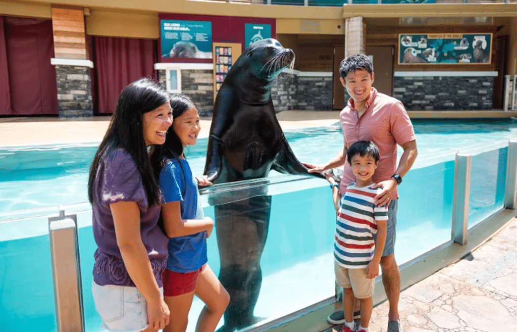 Family interacting with a sea lion.