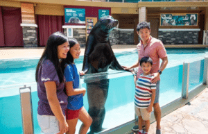 Family interacting with a sea lion.