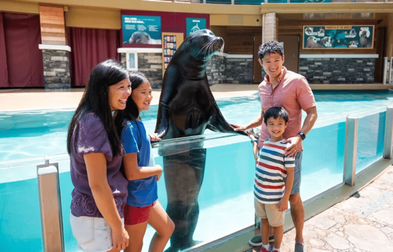 Family interacting with a sea lion.