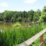tom brown park lake