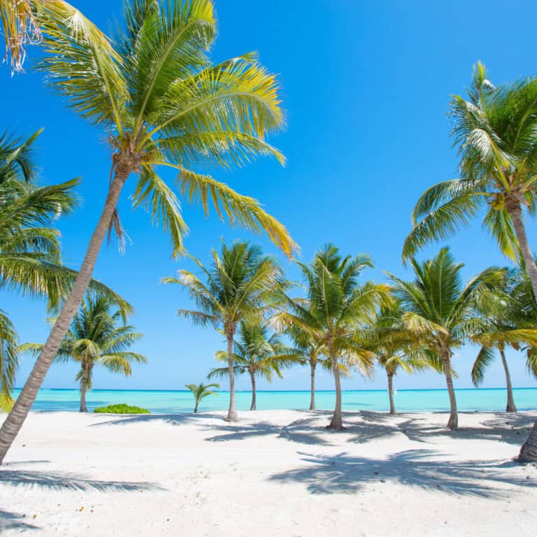 carribean