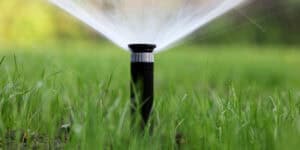 watering grass in florida